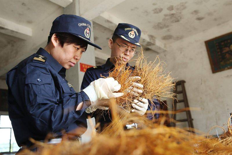 Technical aspects of sauna cultivation