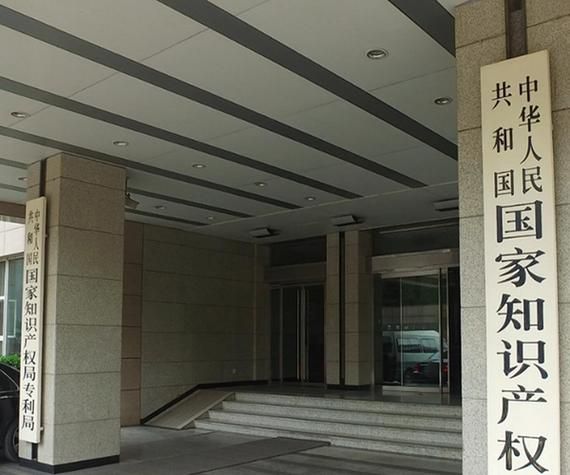 知识产权监管机制