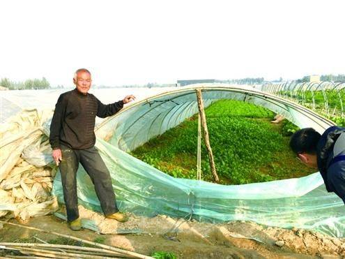 Over and above orchid farming techniques