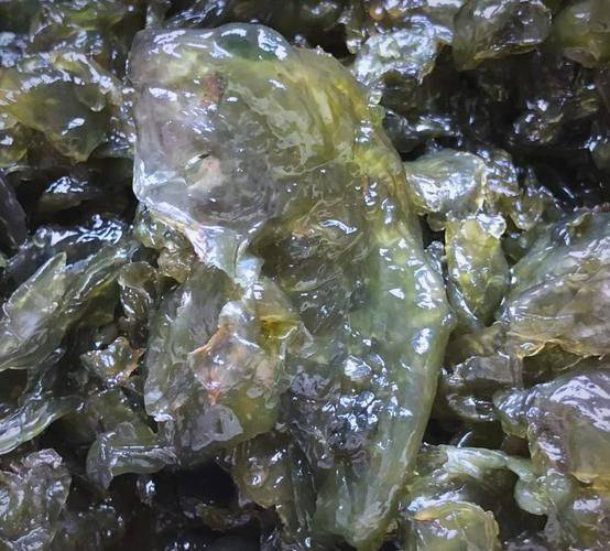 串袋黑木耳种植技术视频
