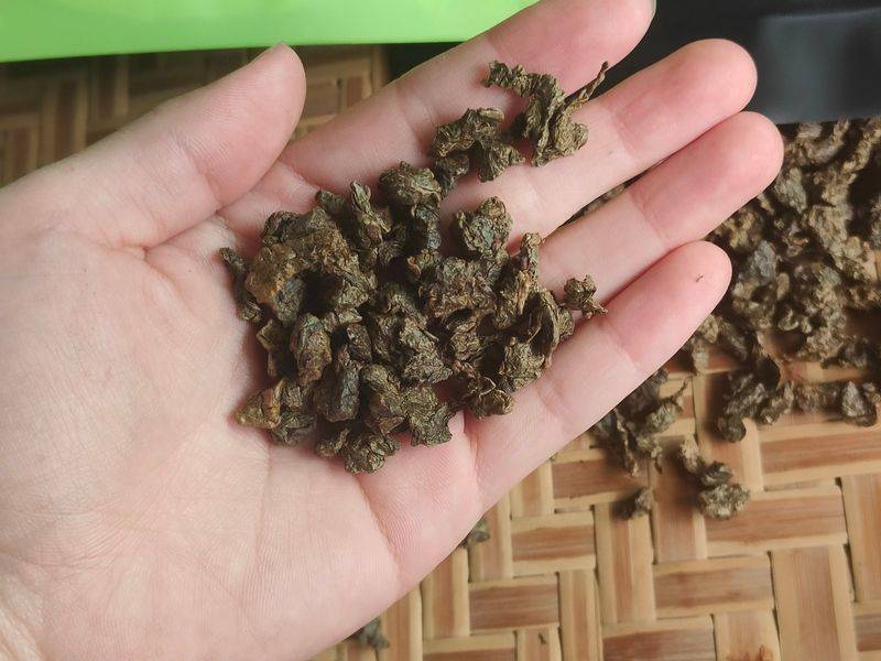 沉香树土沉香种植方法