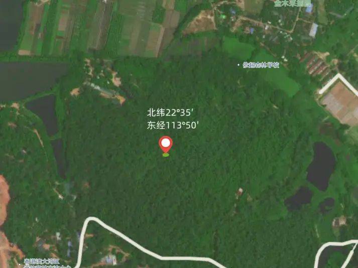 沉香树土沉香种植方法