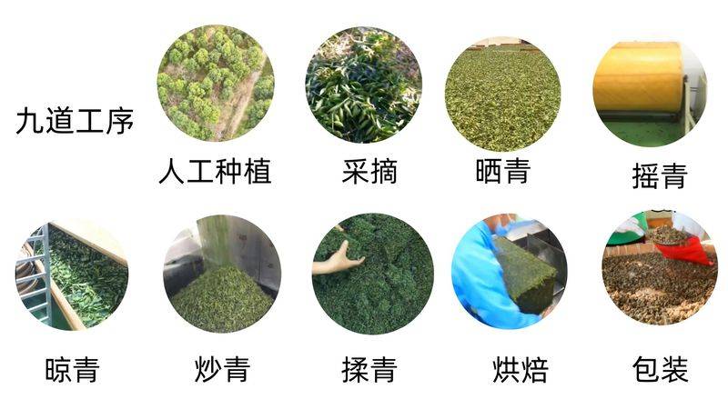 沉香树土沉香种植方法