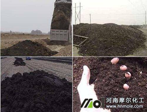 半夏种植技术视频
