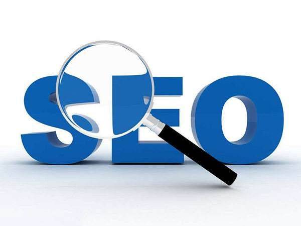 搜索引擎优化(seo)方法与技巧(第5版)