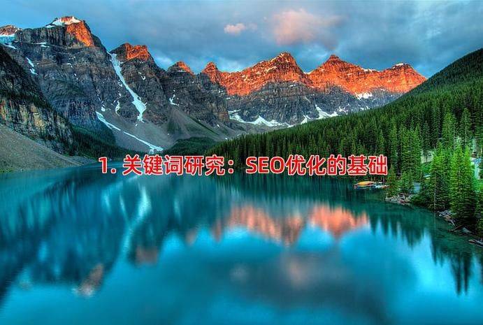 搜索引擎优化(seo)方法与技巧(第5版)