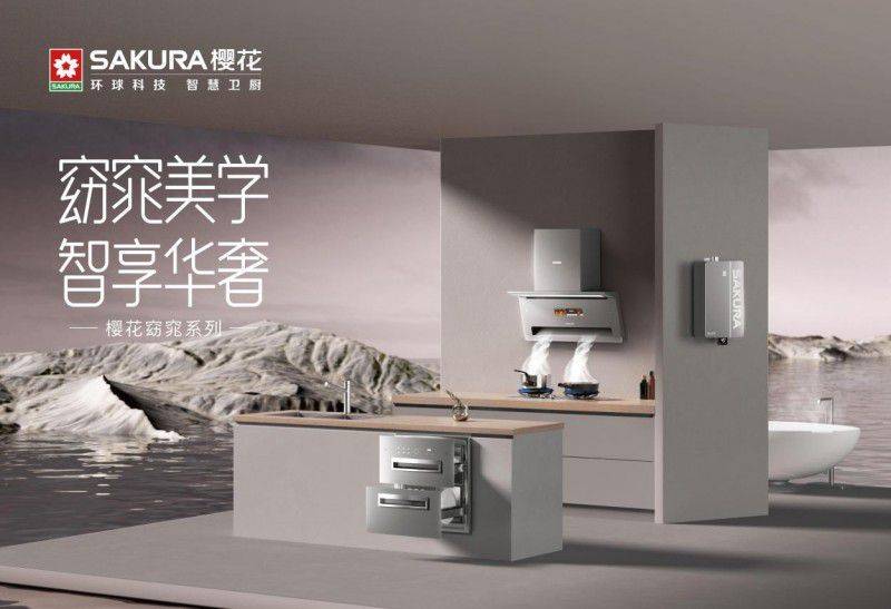 Chongqing sakura gas stove maintenance