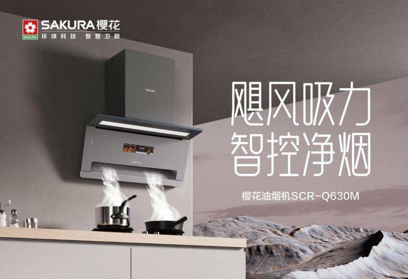 Chongqing sakura gas stove maintenance