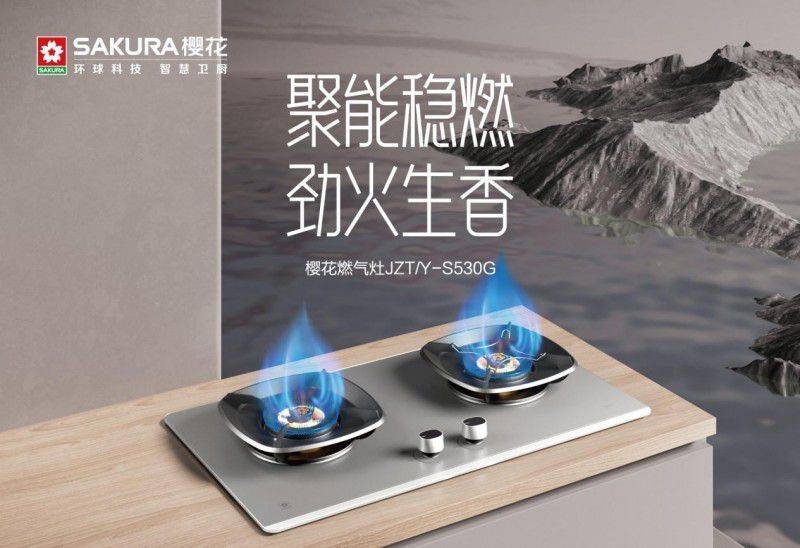 Chongqing sakura gas stove maintenance