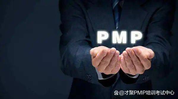 pmp项目经验描述范本