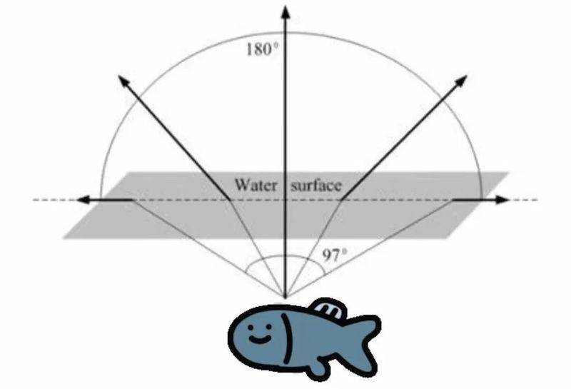 One-reverse knowledge map