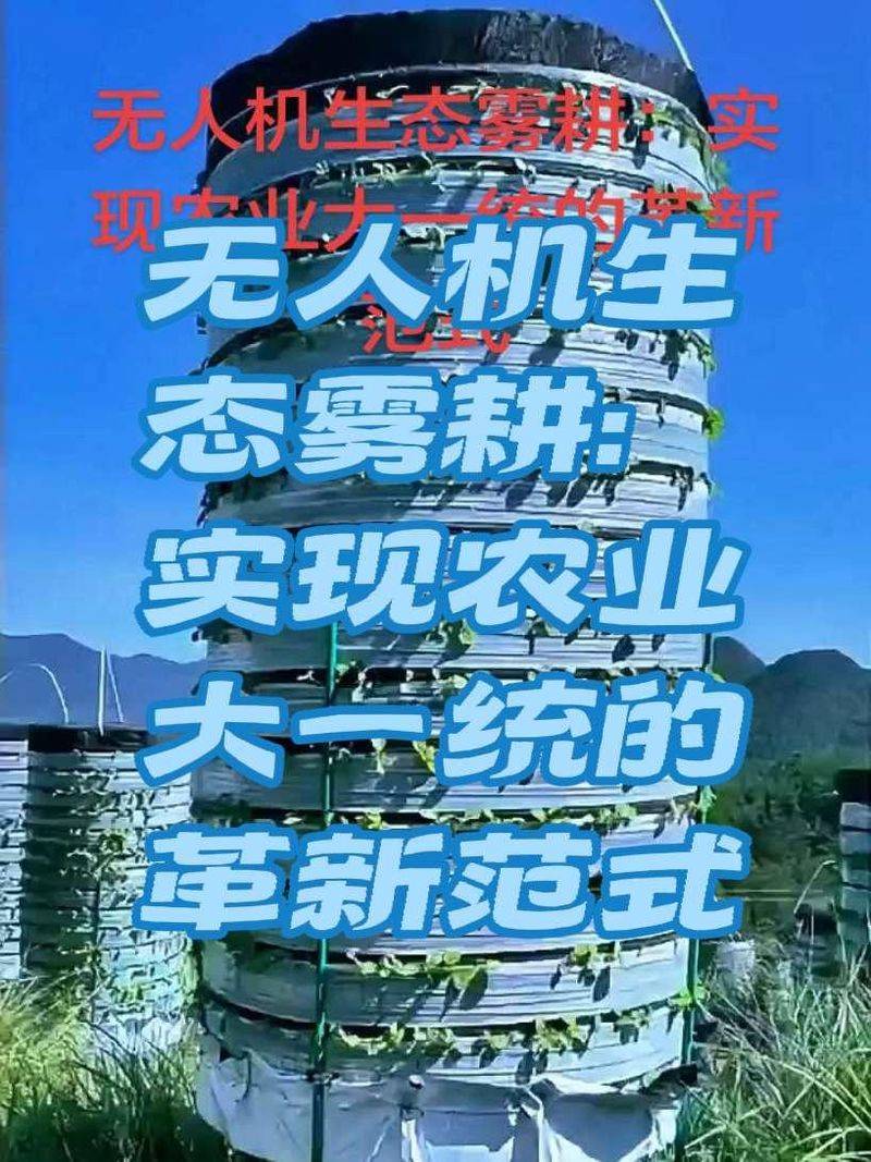 水上蔬菜种植技术