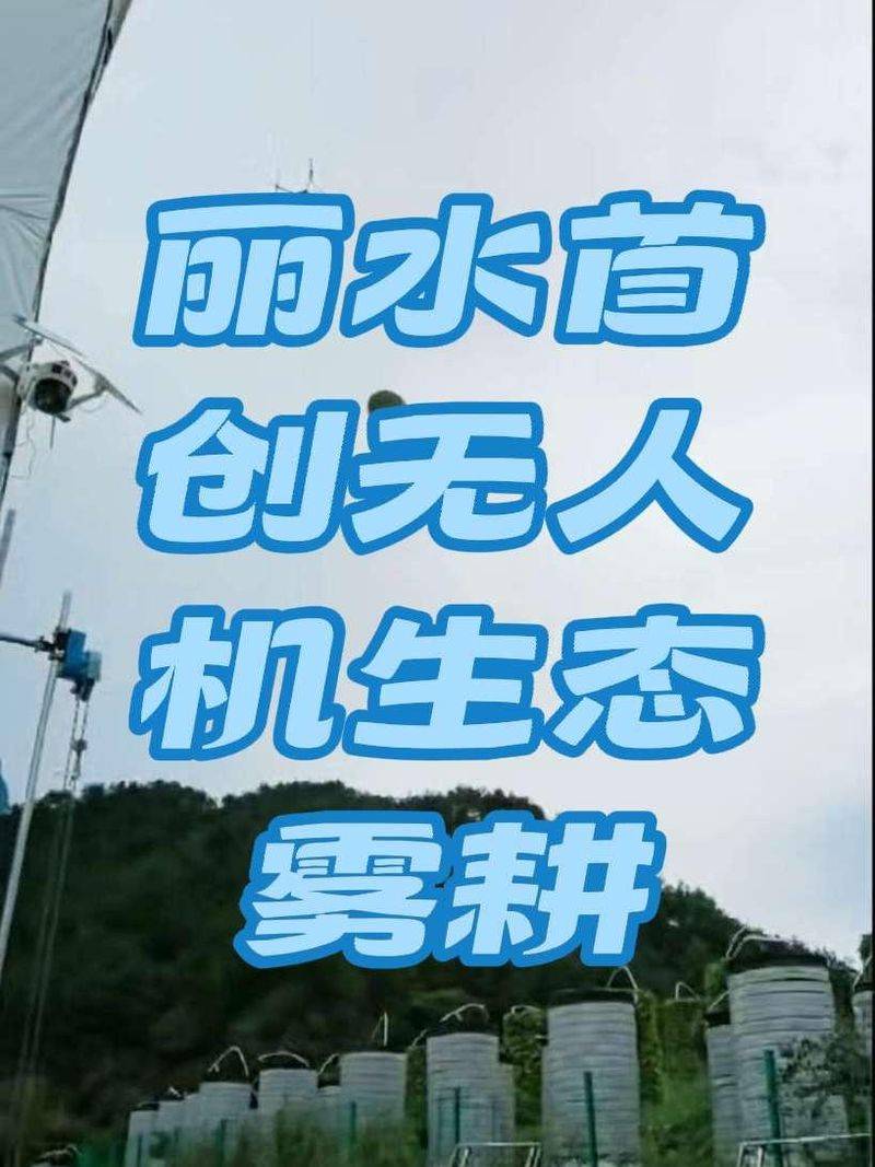 水上蔬菜种植技术