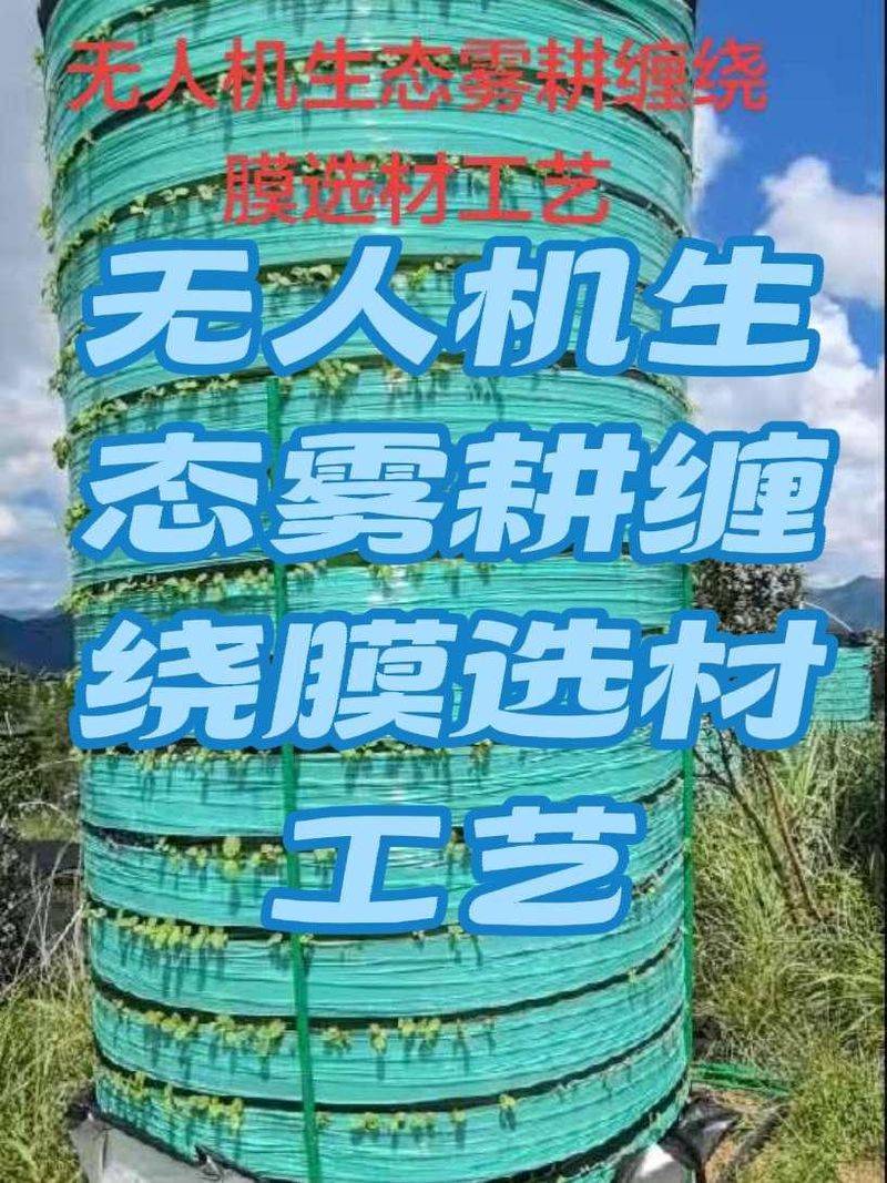 水上蔬菜种植技术
