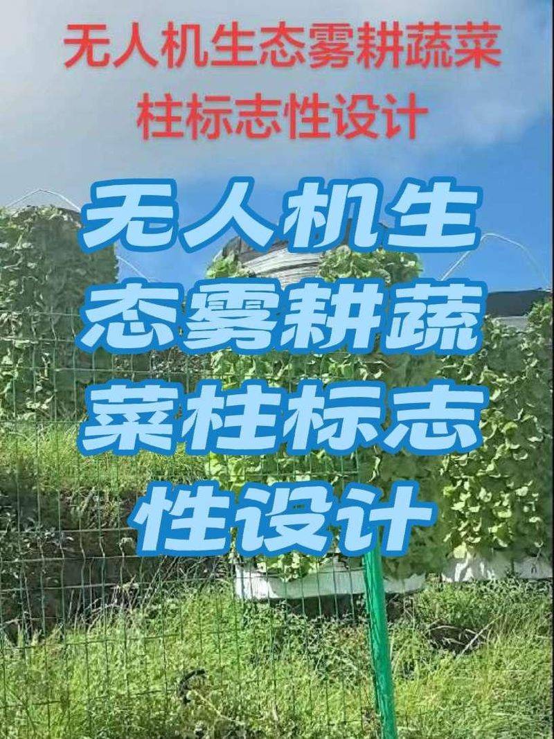 水上蔬菜种植技术