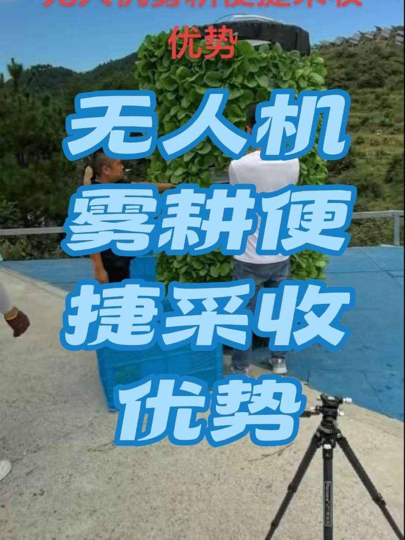 水上蔬菜种植技术