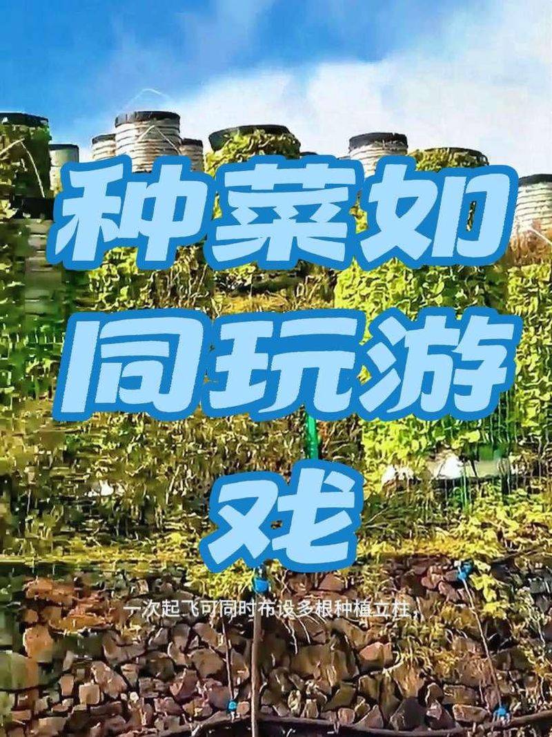 水上蔬菜种植技术