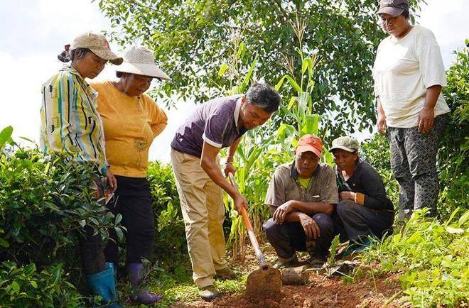 Australian nut growing technology video