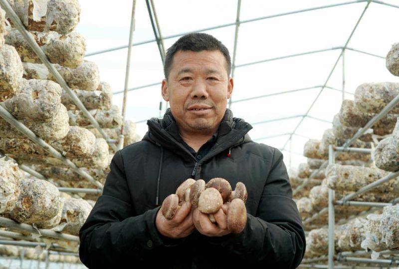 Brethren cultivation techniques