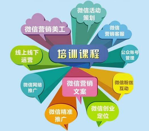 White hat seeo video tutor