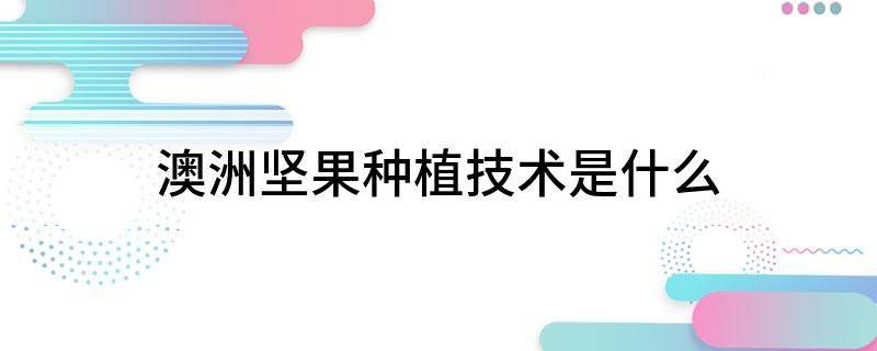 澳洲坚果种植技术是什么