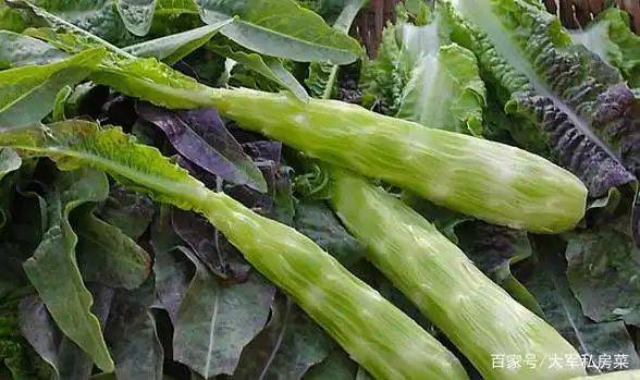Brethren cultivation techniques
