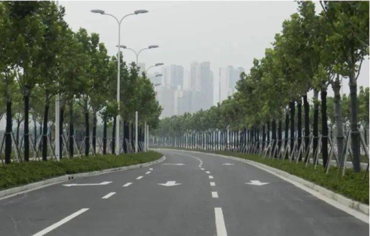 东北适合种植什么果树