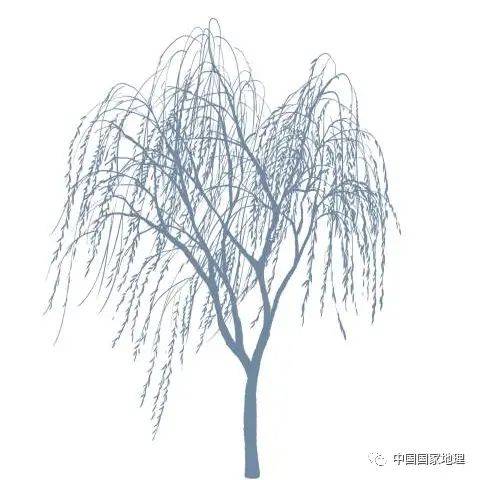 东北适合种植什么果树