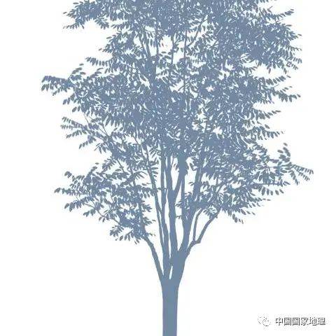 东北适合种植什么果树
