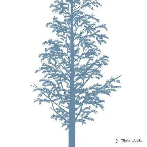 东北适合种植什么果树
