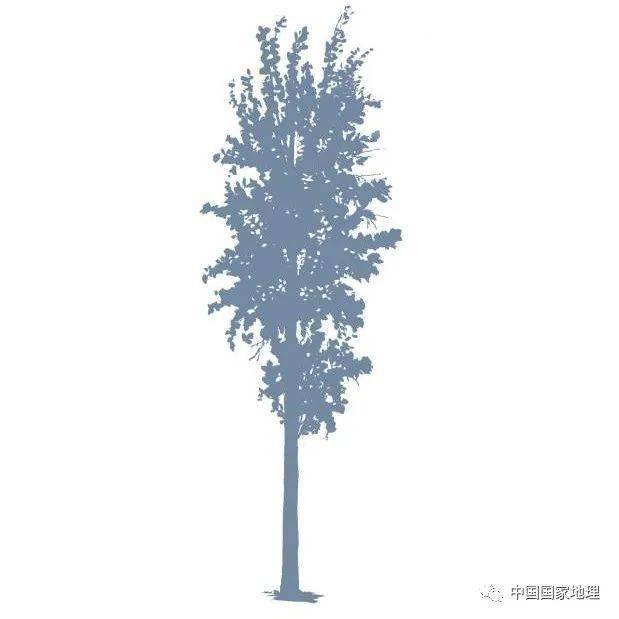 东北适合种植什么果树