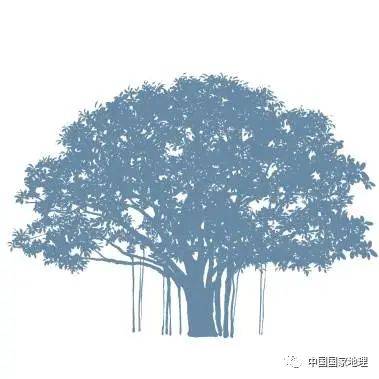 东北适合种植什么果树