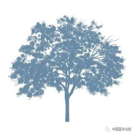 东北适合种植什么果树
