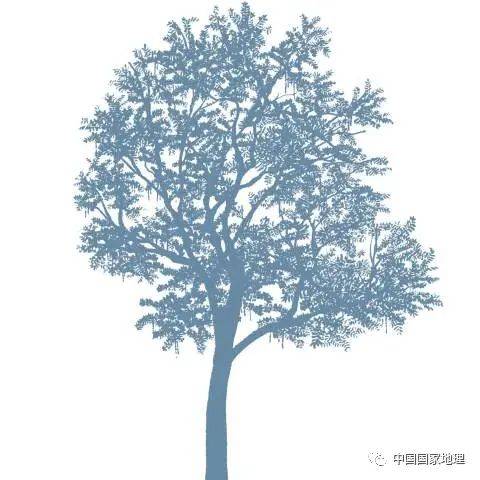 东北适合种植什么果树