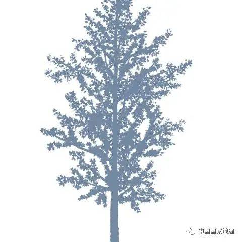 东北适合种植什么果树