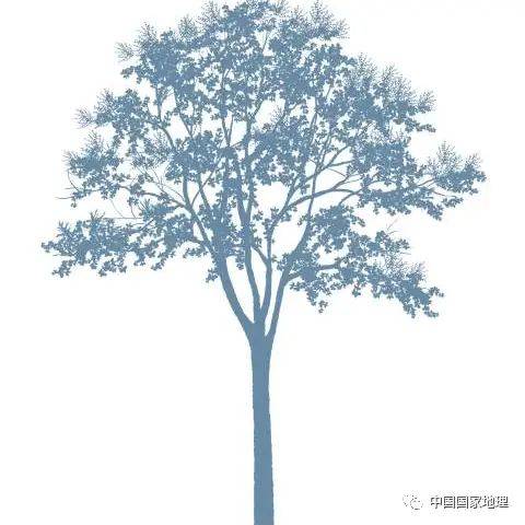 东北适合种植什么果树