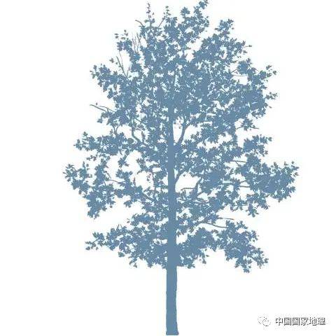 东北适合种植什么果树