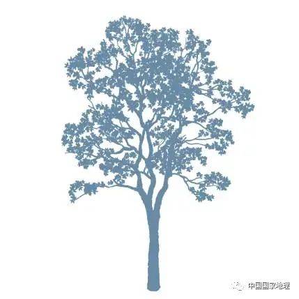 东北适合种植什么果树