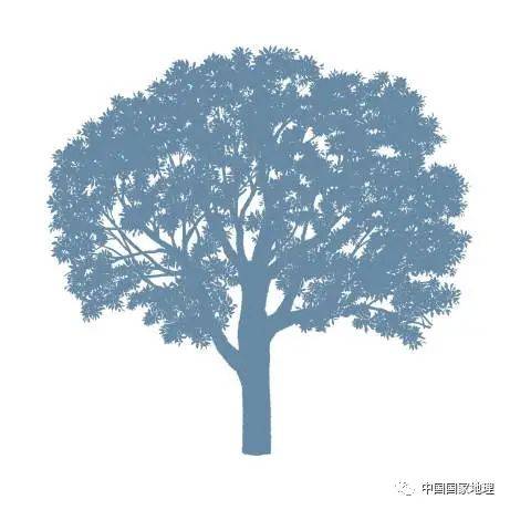 东北适合种植什么果树