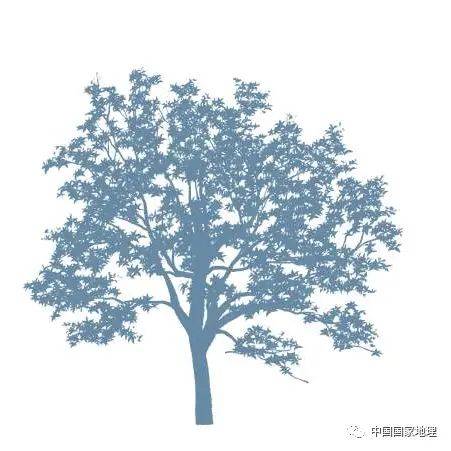 东北适合种植什么果树