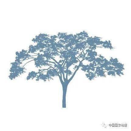 东北适合种植什么果树