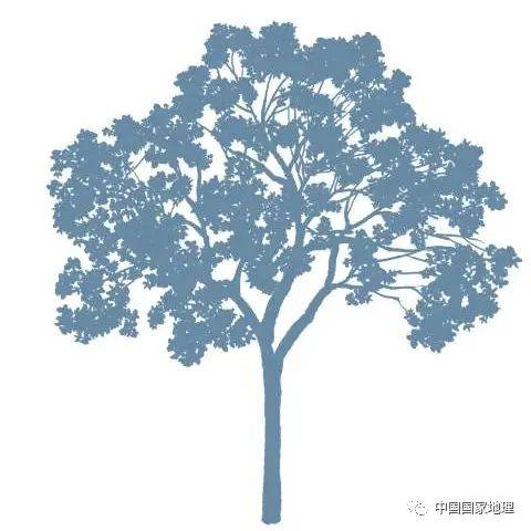 东北适合种植什么果树