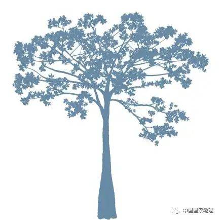 东北适合种植什么果树