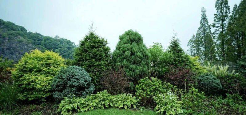 东北适合种植什么果树