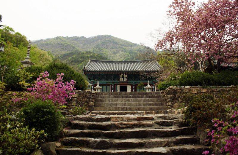 铜川玉华宫门票多少钱