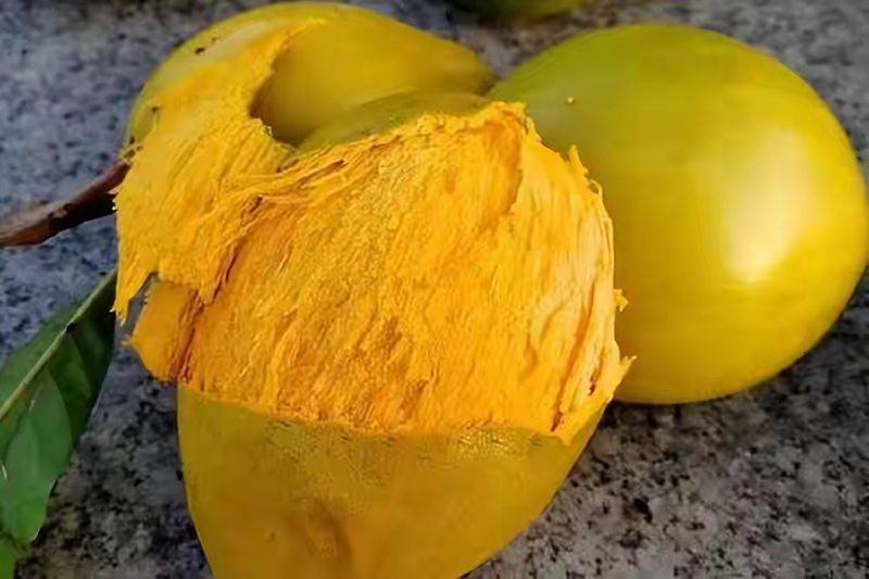 How to grow eggs