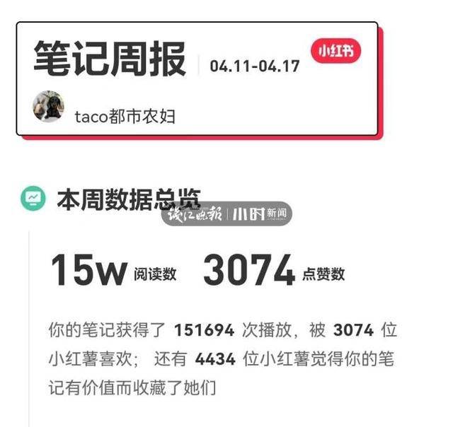 阳台葡萄树的种植方法