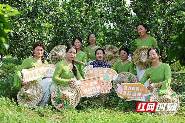 Sugar orange cultivation techniques