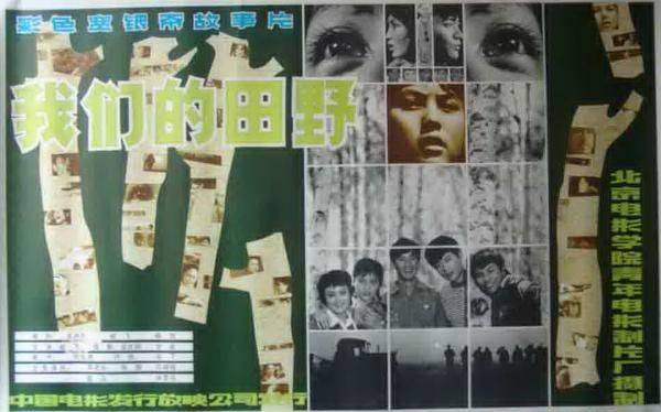 想当年｜《我们的田野》：白桦林中的青春之歌