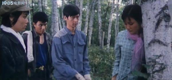 电视剧知识青年上山下乡